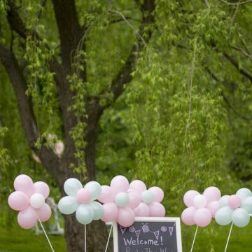 Weeping WIllow Garden Party