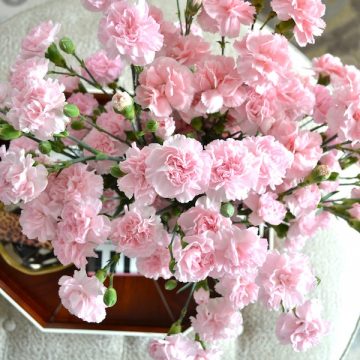 Friday's Favorite Finds