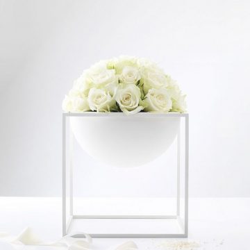 Friday's Favorite Finds