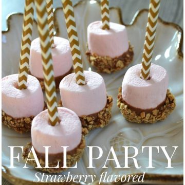 Fall Party Strawberry flavored S'mores