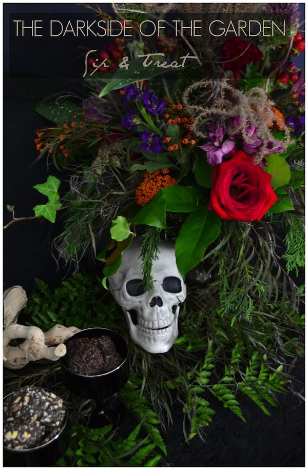 The Darkside of the Garden - A Halloween Sip & Treat