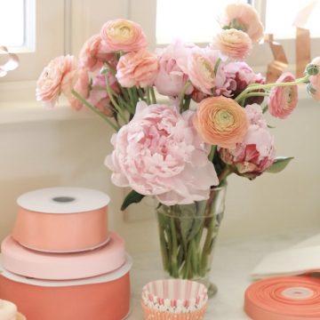 Friday's Favorite Finds