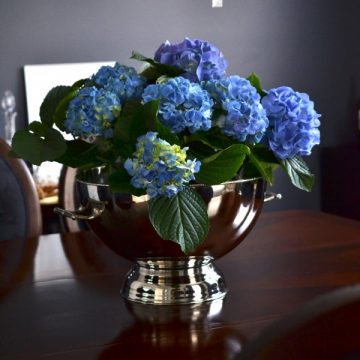 The Many Uses: The Ice Bucket