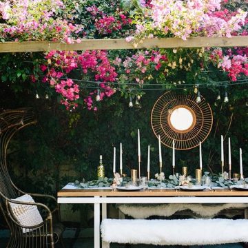 Friday's Favorite Finds