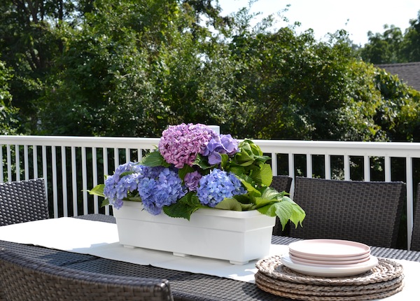 2 Ways To Arrange Your Hydrangeas for Indoors and Out