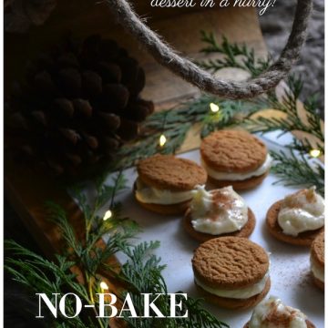 NO-BAKE GINGERBREAD COOKIES