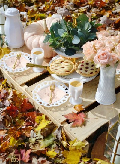 CALL YOUR BEST GIRLFRIENDS AND CELEBRATE THE FALL SEASON WITH A PICNIC OF PIES & COFFEE