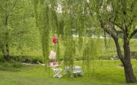 Weeping Willow Garden Party